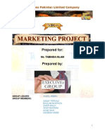 Marketing Plan For A New Product With Diagram