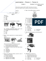 Mid-Term Examination Y6