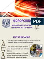 Presentación Hidrofobinas