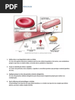 Atividades Biologia 1 - Aula 2