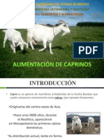 Alimentación de Cabras (Alimentos y Alimentación)