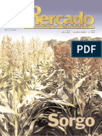 062 Sorgo 01