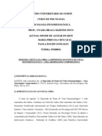 A Depressão Do Ponto de Vista Fenomenológico - Uma Abordagem Compreensiva