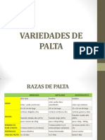 Variedades de Palta