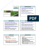 Cultivo Hidropônico PDF