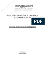 Relatório 6 - Síntese de Detergente Liquido