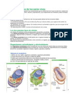 1.1 - Cuadernillo La Organización Del Cuerpo Humano