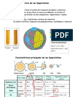 Tema 11 Lipoproteinas