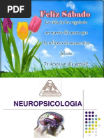 Neuro Psicologia