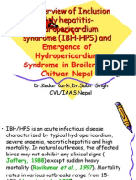 An Overview of Inclusion Body Hepatitis-Hydropericardium Syndrome (IBH-HPS)