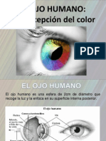 El Ojo Humano