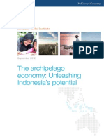 MGI Unleashing Indonesia Potential Executive Summary