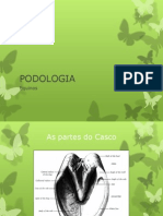 Podologia Equinos 2013-1