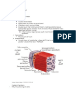 Cardiovascular 1