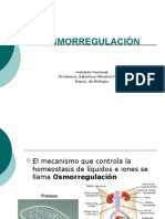 OSMORREGULACIÓN