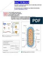 Bacterias 2