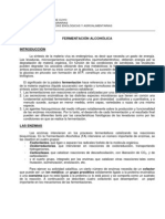 Fermentación Alcohólica Apuntes PDF