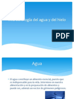 Microbiología Del Agua y Del Hielo