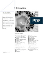 Fruitful DNA Extraction: See and Touch The Hereditary Molecules