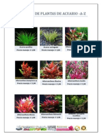 Catalogo Plantas Acuario A-Z