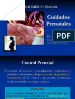 1.atencion y Cuidados Prenatales