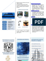 Triptico1 PDF