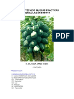 BUENASPRACTICASPAPAYA pdf1