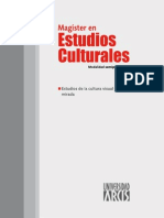 Estudios de La Cultura Visual y Politica de La Mirada