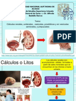 Clasificacion de Litiasis Renal