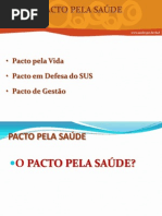 1.pacto Pela Vida 2013