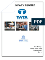 Company Profile of TATA Steel by (Anindya S Kundu)