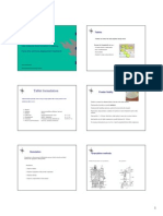 Tablet Compression Consolidation and Compaction Physics