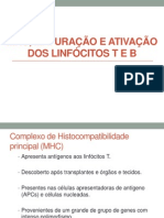 Aula 6 - MHC, Maturação e Ativação Dos Linfócitos T e B