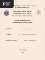 Laboratorio N°9, ESPINOZA CORDOVA JHONATAN ISRRAEL