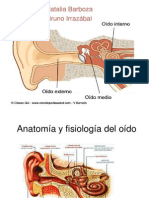 Anatomía y Fisiología Del Oído