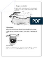 Campos de Oxidación