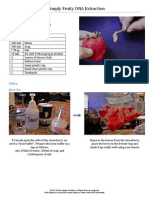 A Simply Fruity DNA Extraction: Category: Type: Rough Parts List