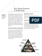 04 PFE Diet and Pregnancy