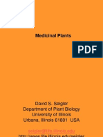 Medicinal Plants 13