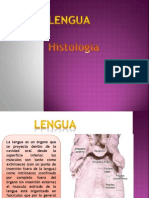 Lengua Histologia