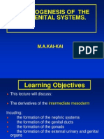 Organogenesis of The Urogenital Systems.: M.A.Kai-Kai