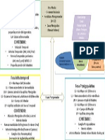 Fosas Extracraneales - PPX