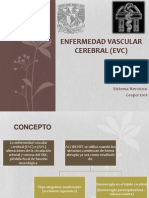 Enfermedad Vascular Cerebral (Evc)