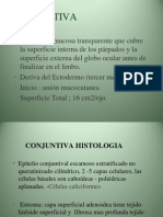 Cornea y Conjuntiva-1