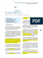 Pie Diabetico PDF