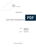 Tarea 2 Curvas IDF e Hietograma