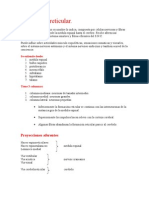 Formación Reticular Neuronatomia