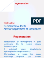 12 +Regeneration+Epimorphosis+in+Urodeles