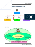 Organizadores Graficos