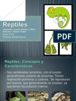 Trabajo de Cta Reptiles